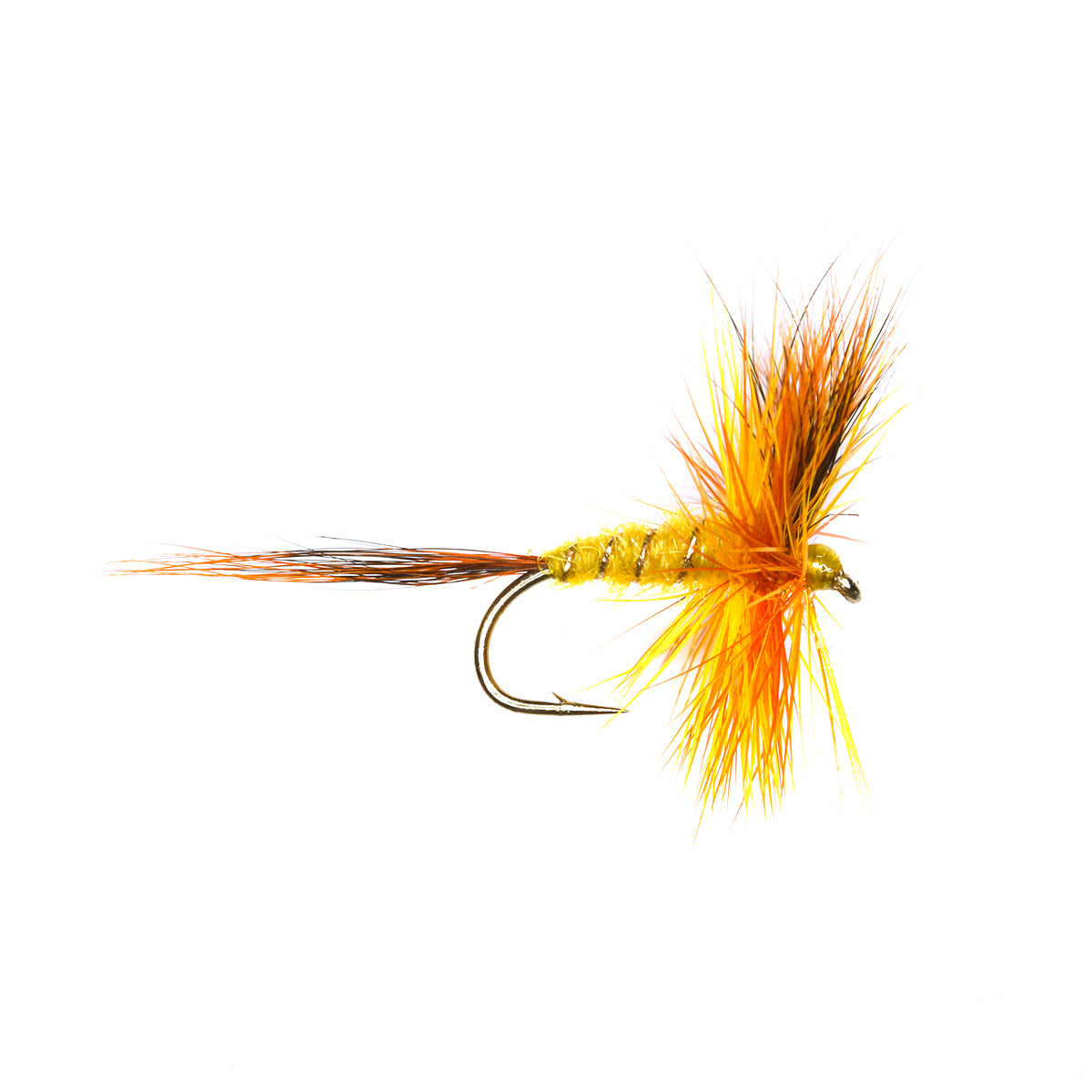 YELLOW WULFF