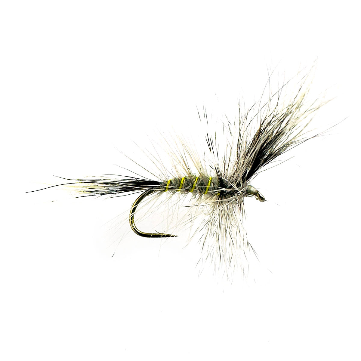 BW GREY WULFF
