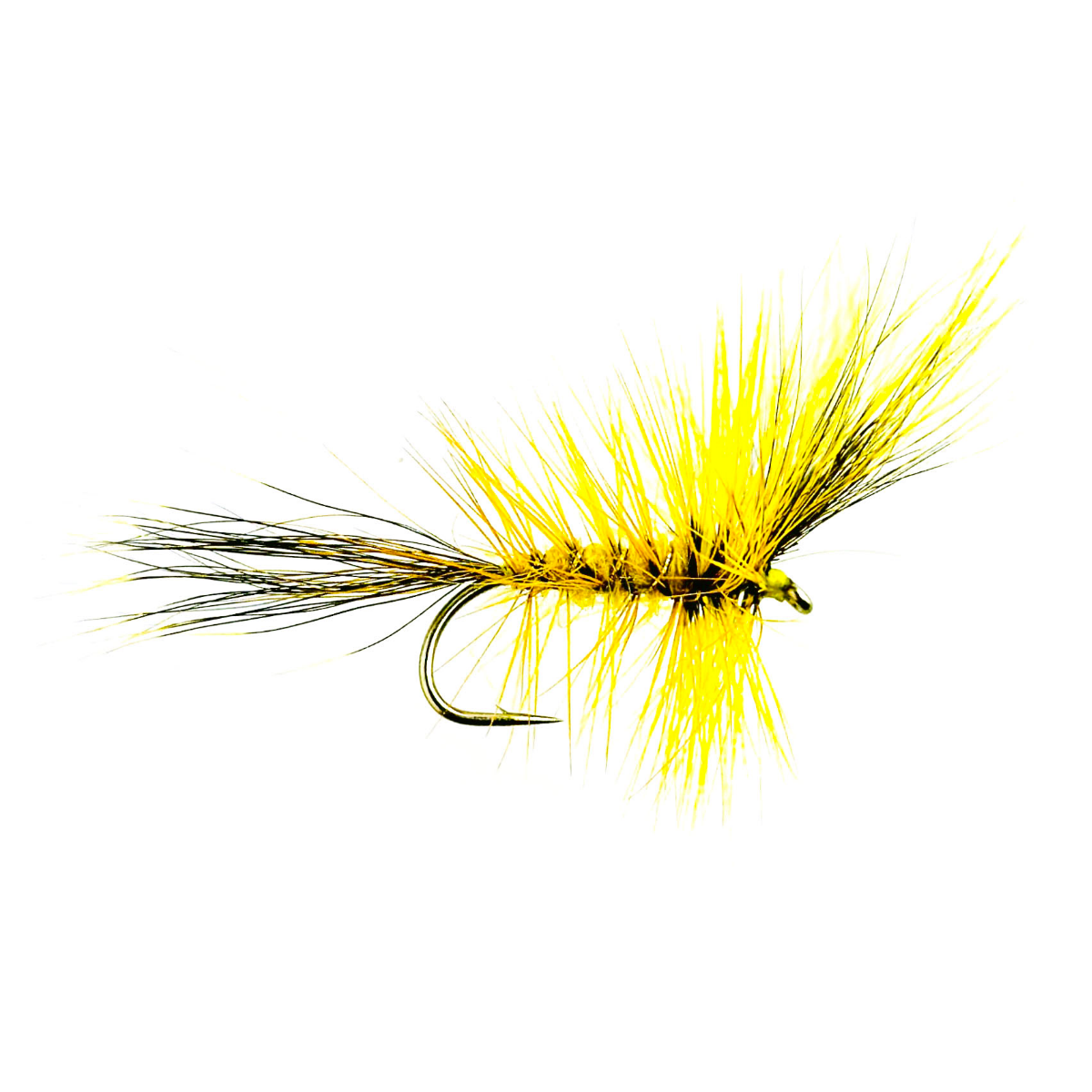 BW YELLOW WULFF