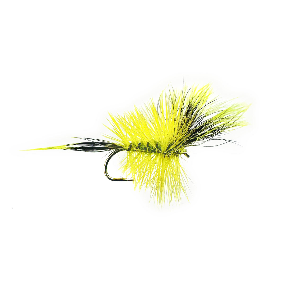 BW OLIVE WULFF