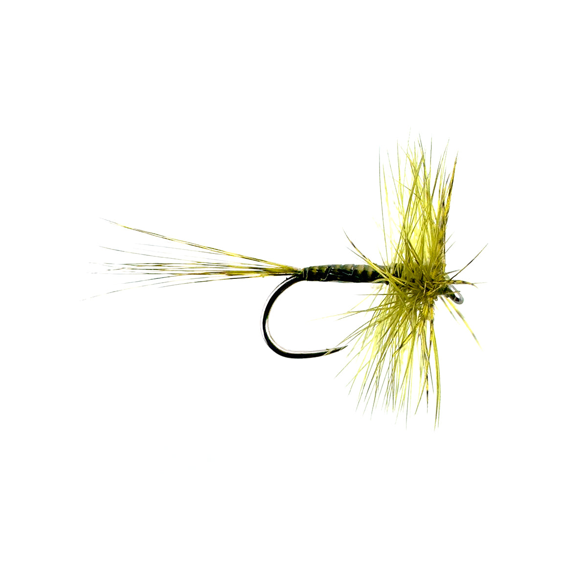 JINGLER - MEDIUM OLIVE
