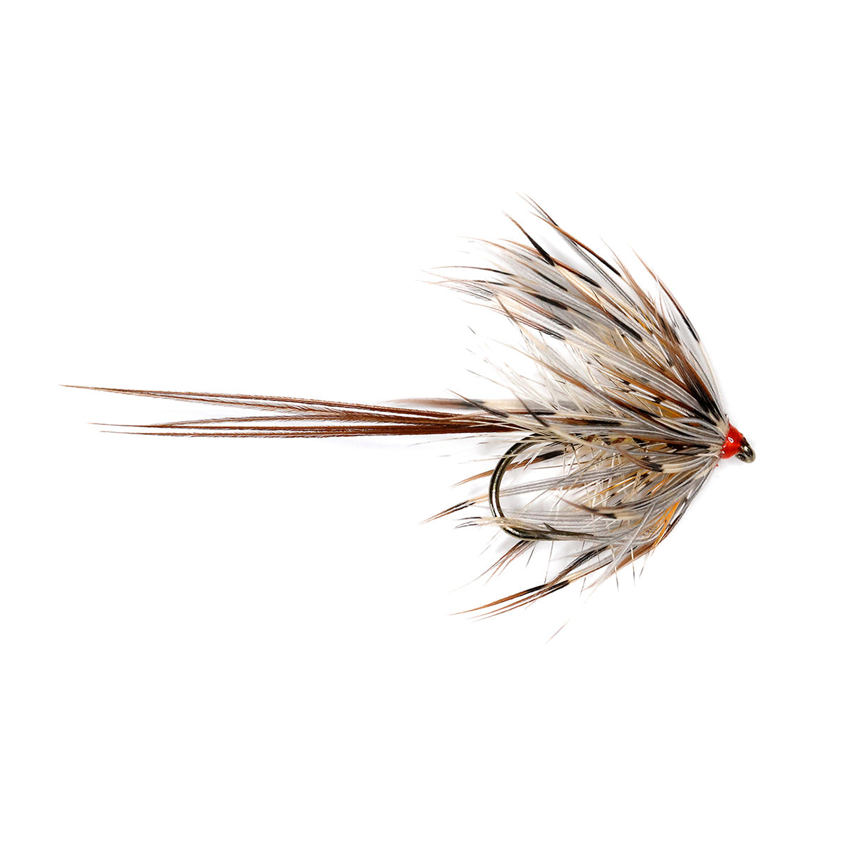 CORRIB GREY MAY
