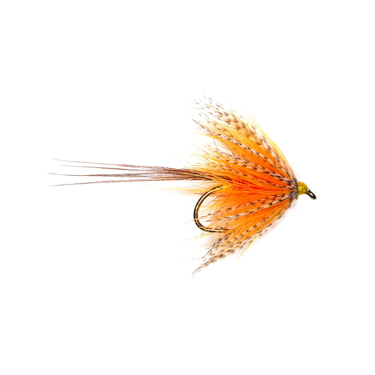 SUNBURST GOSLING