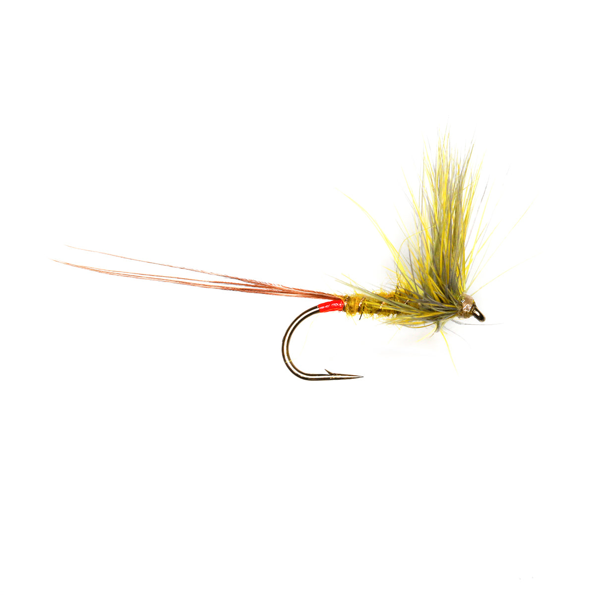 MOSLEY MAY - YELLOW