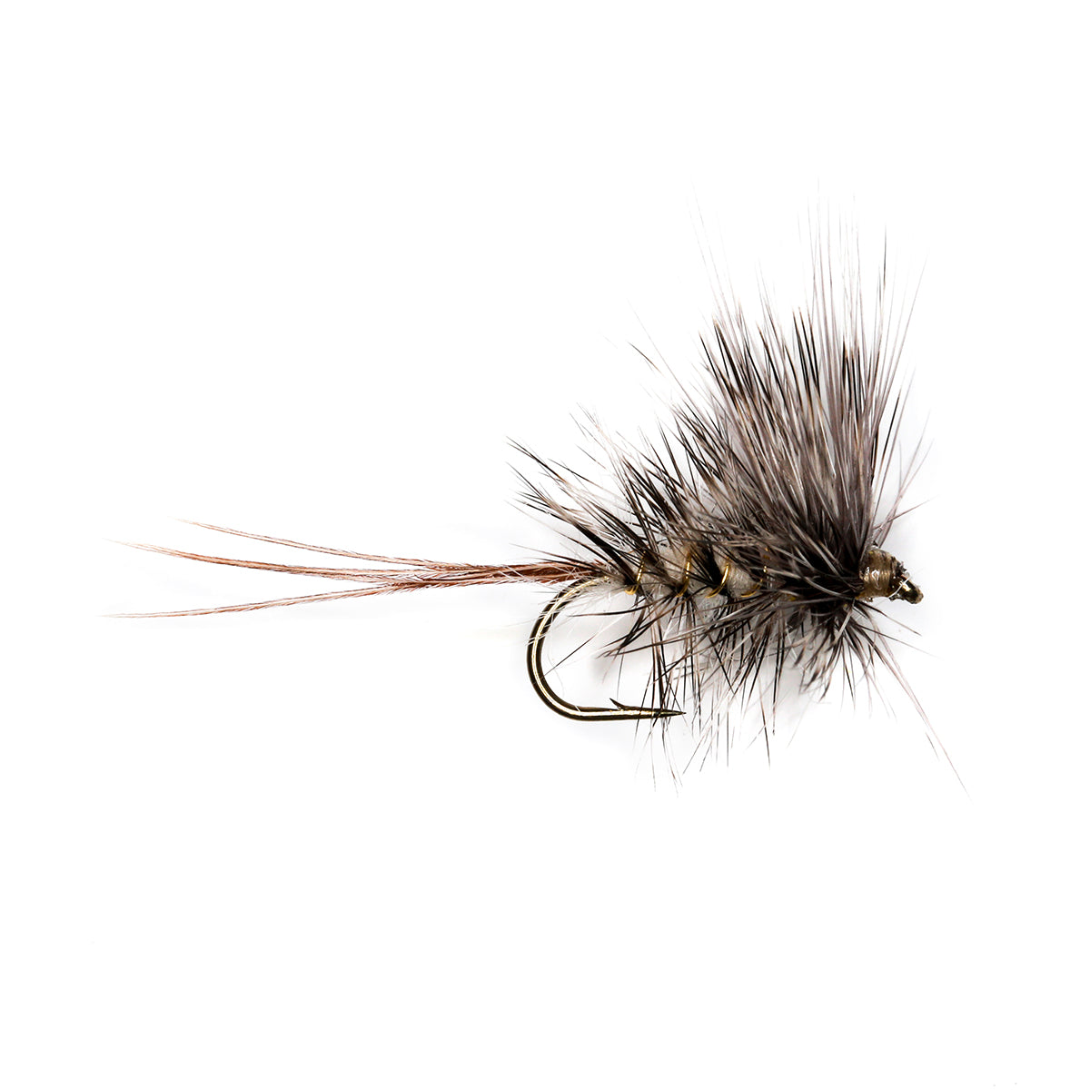 GREY DUN GNAT