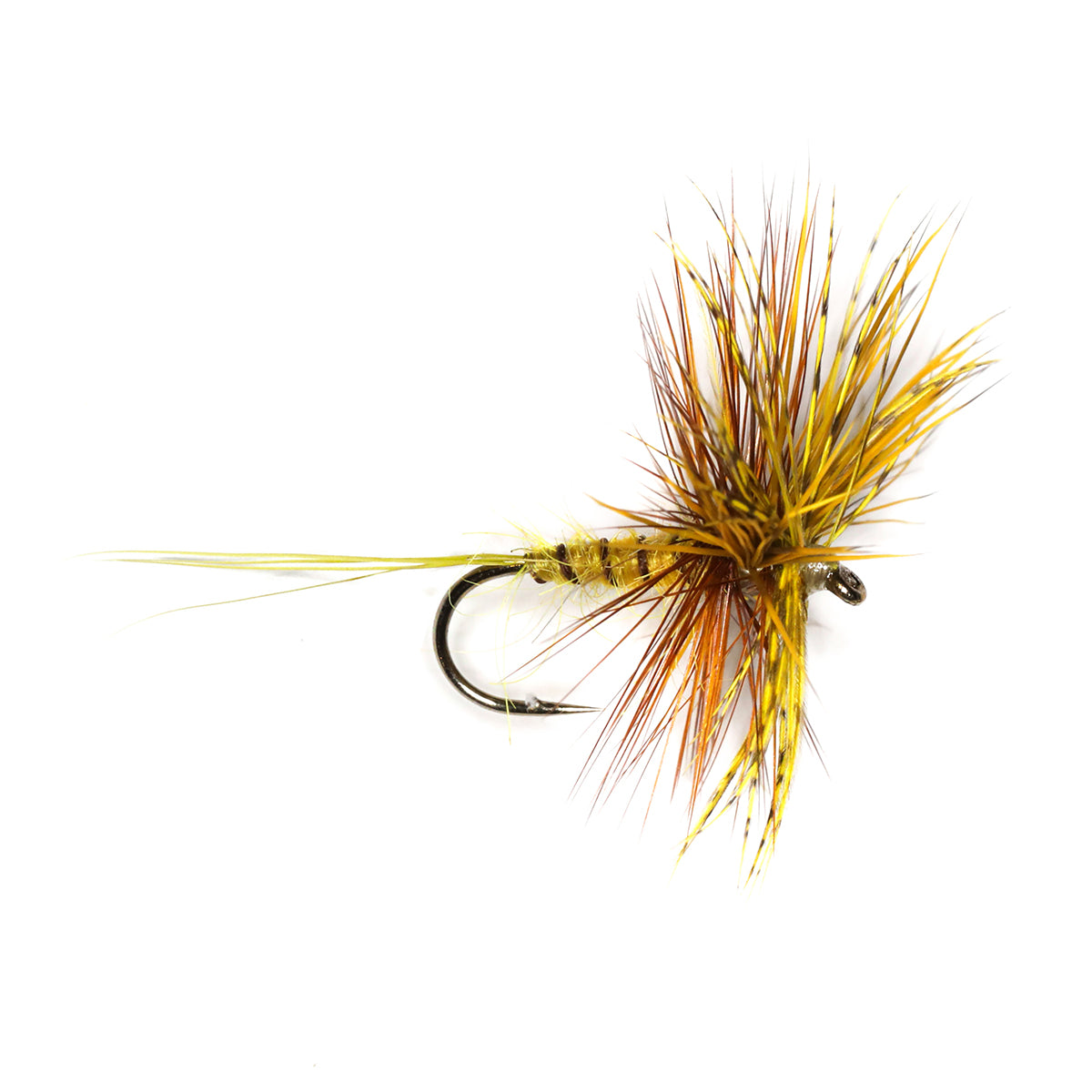 YELLOW DANICA DUN