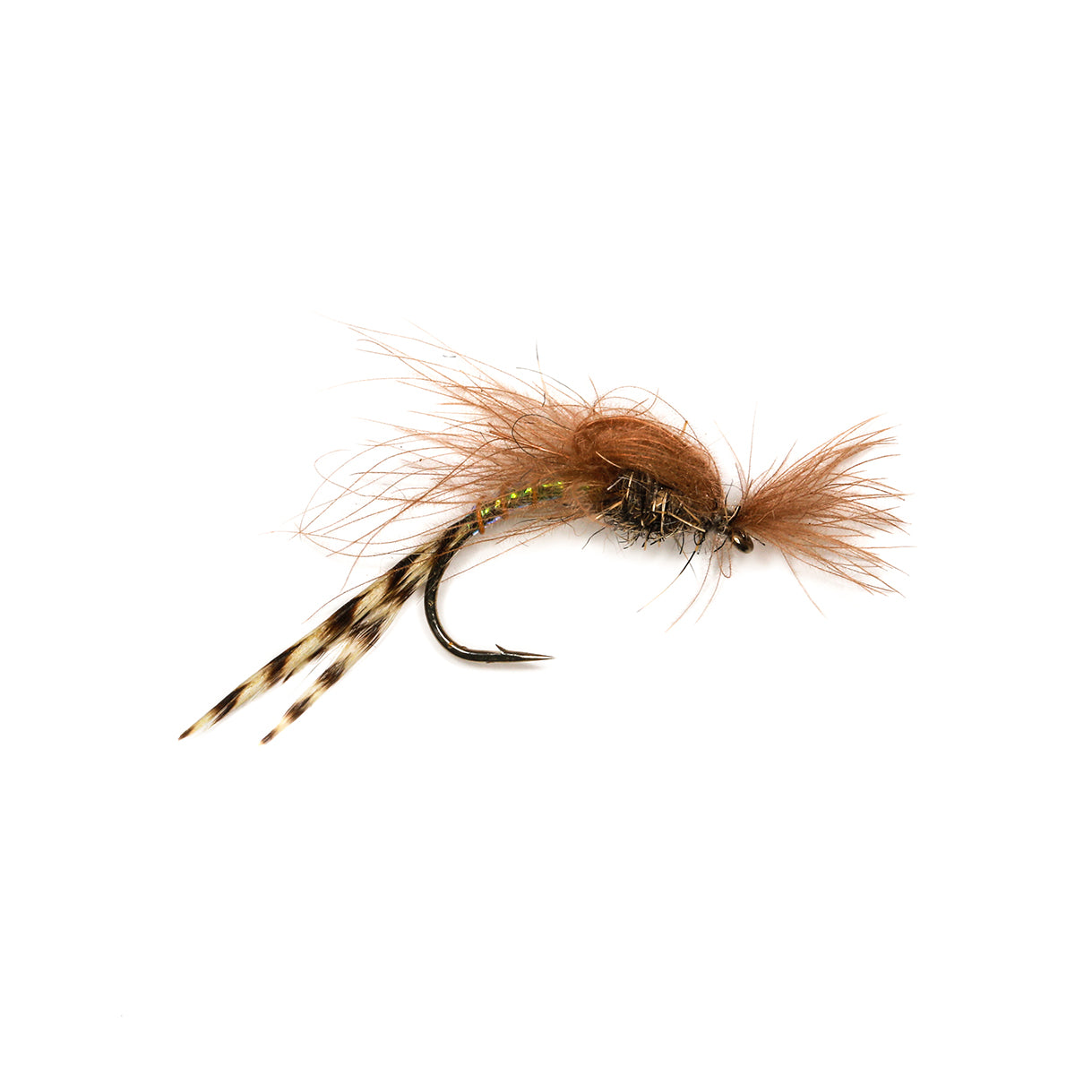 CDC LOOPWING EMERGER MAY - TAN