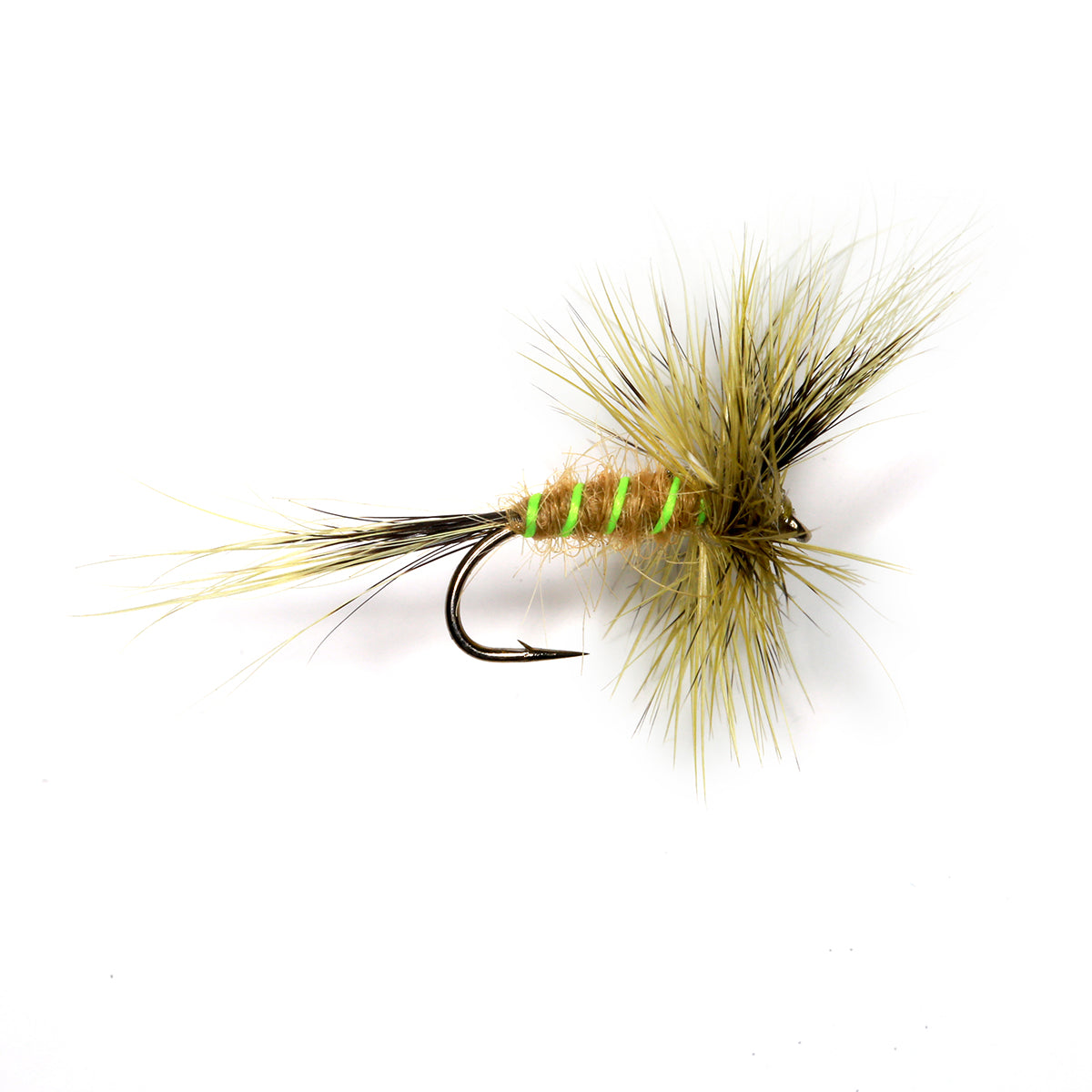 PALE OLIVE WULFF