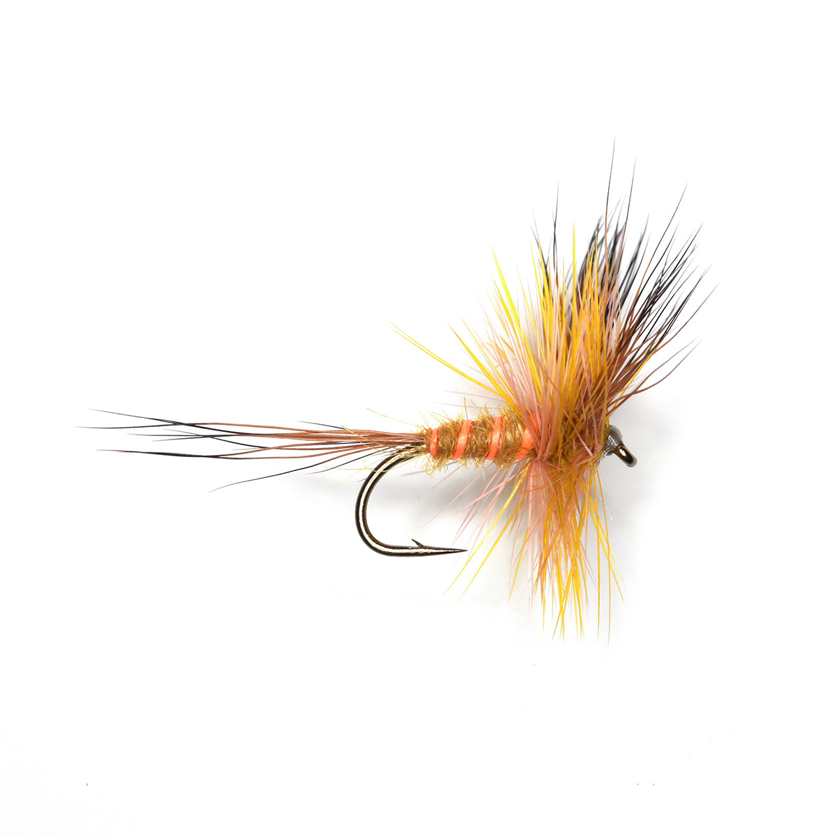 CORRIB OLIVE WULFF