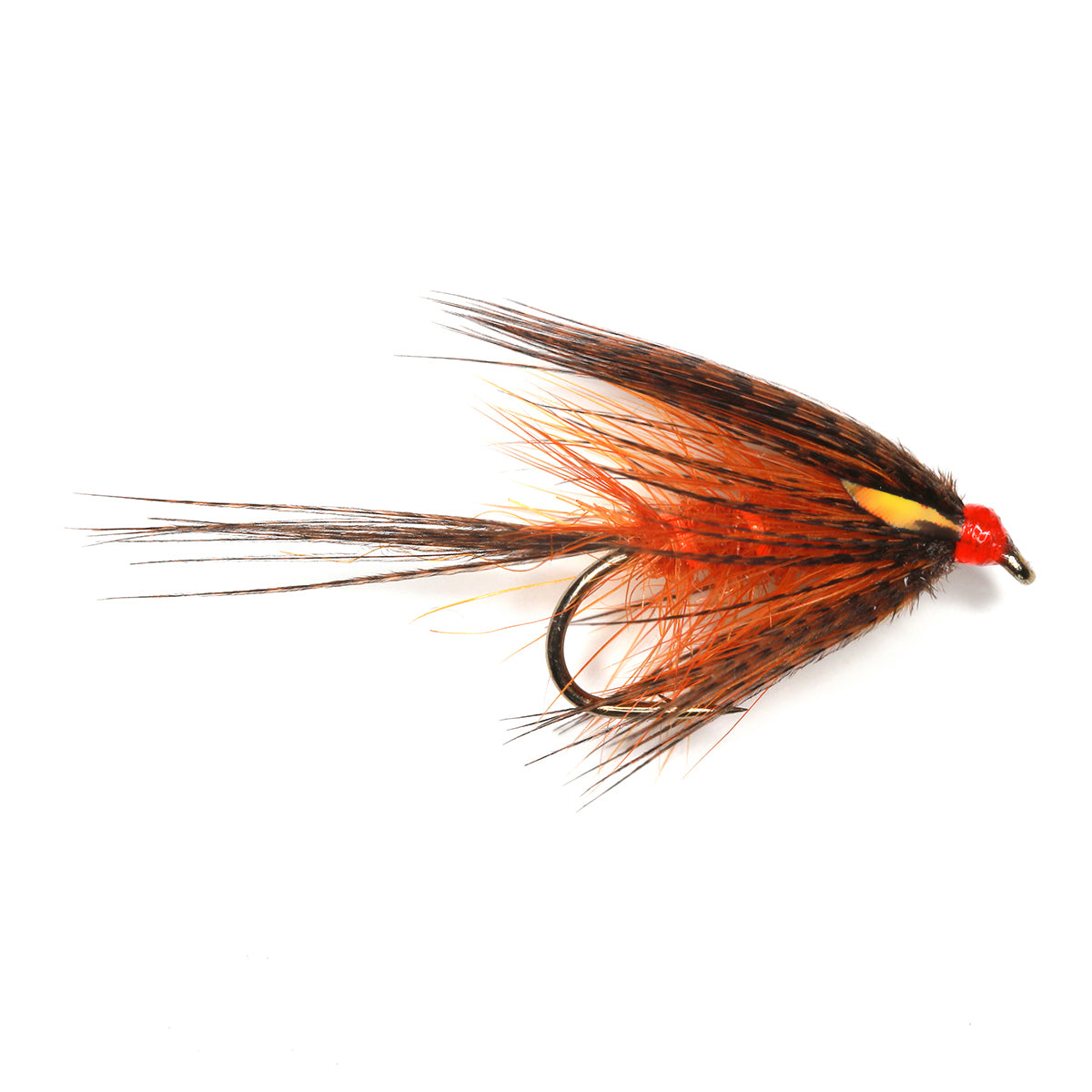 GINGER DABBLER