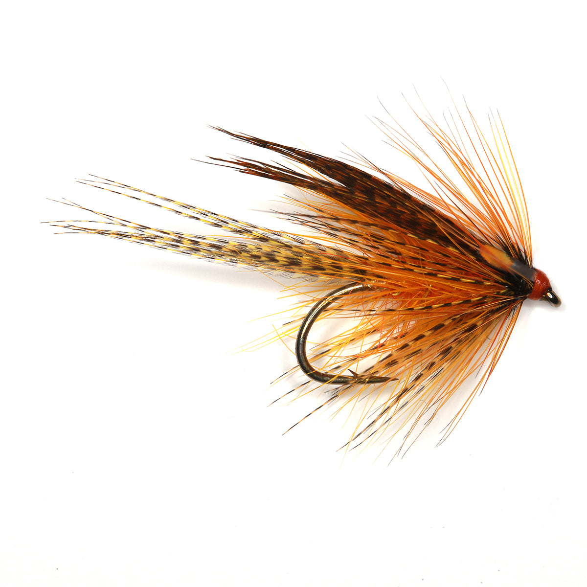 GOLDEN OLIVE DABBLER