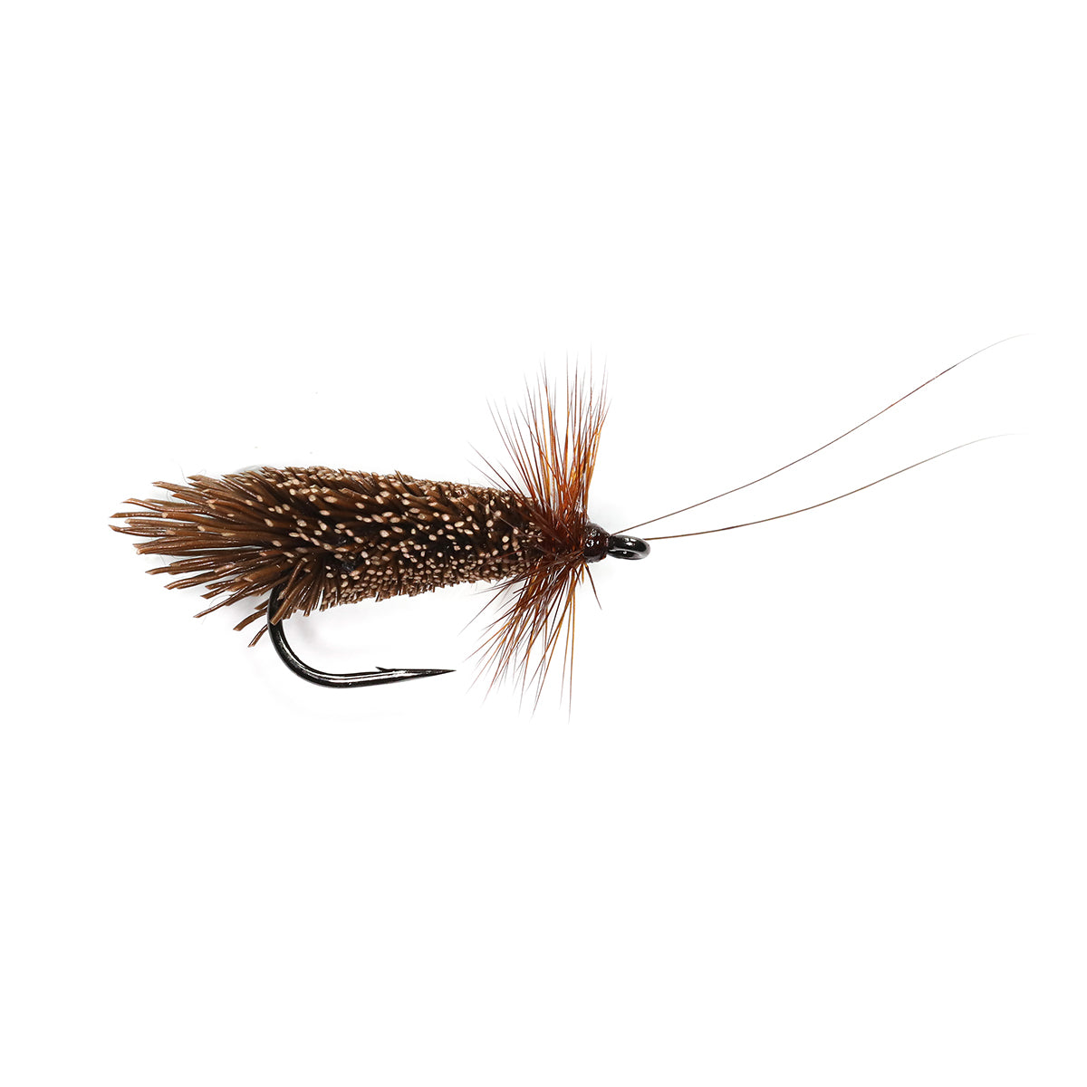 CHOCOLATE SEDGE (GODDARD)