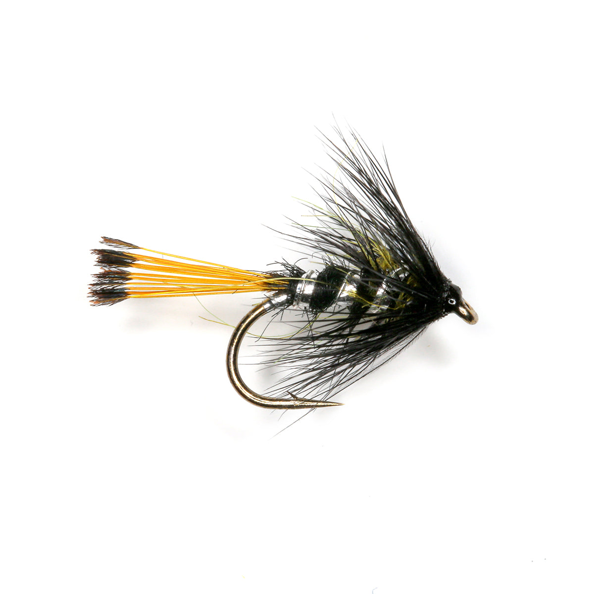 BRIGGS PENNELL - OLIVE