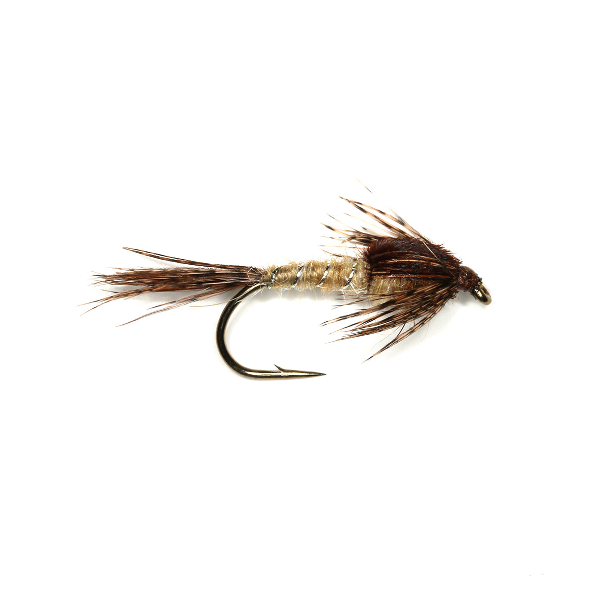 MAYFLY NYMPH