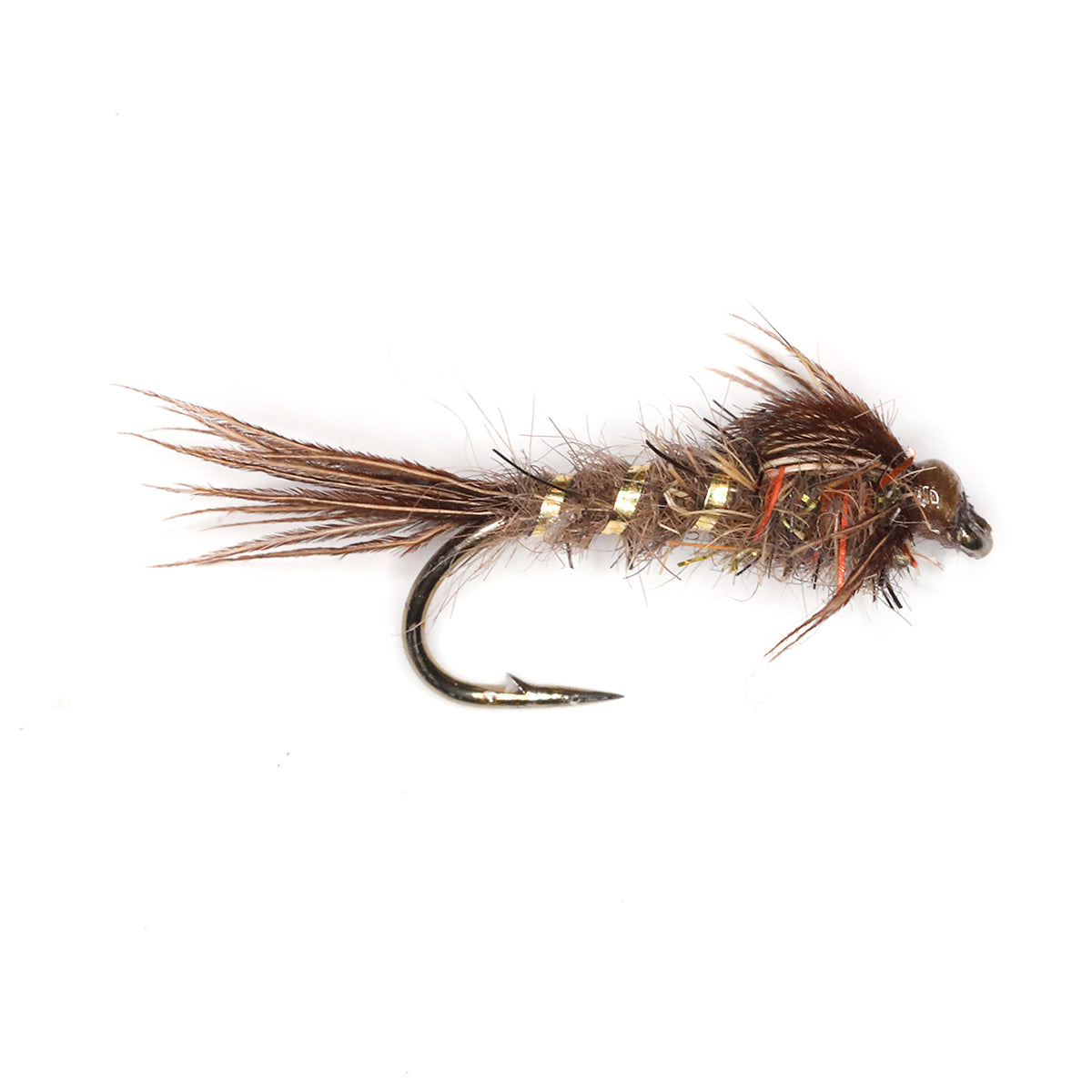 GOLD RIBBED HARE'S EAR