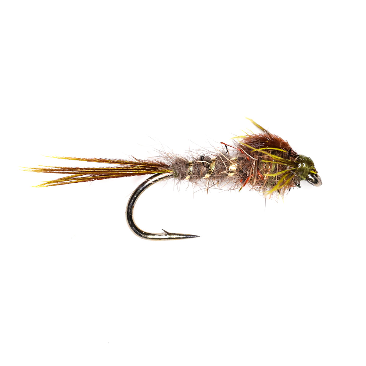 GOLD RIBBED HARE'S EAR - OLIVE