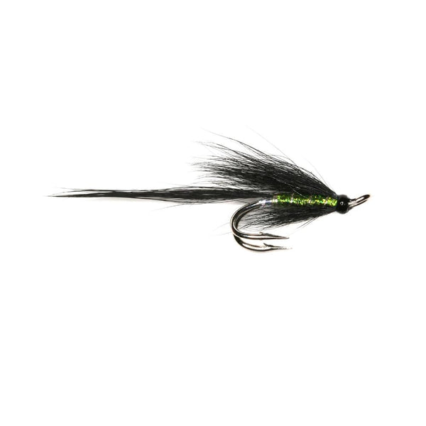 GREEN BRAHAN - LONGTAIL