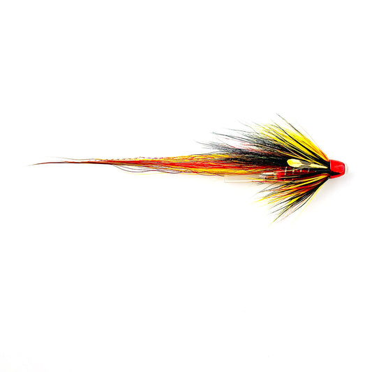 CASCADE RED WILLIE GUNN