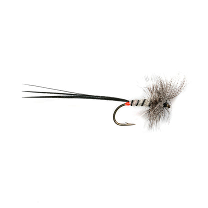 SPENT GREY MALLARD