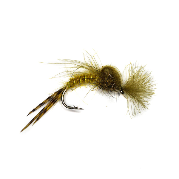 CDC LOOPWING EMERGER MAY - OLIVE