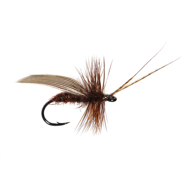 DUCK QUILL CADDIS - CHOCOLATE